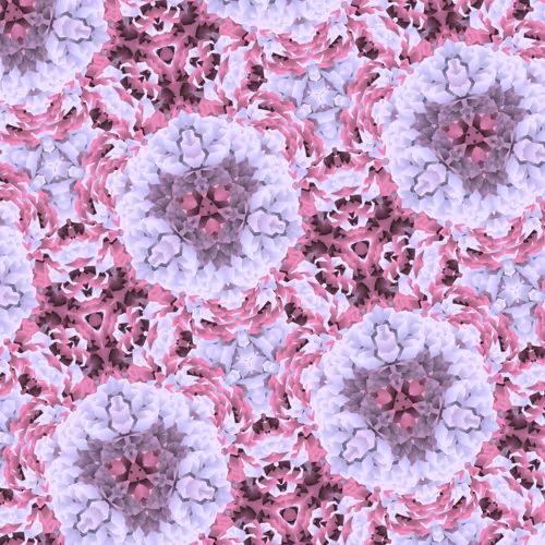 51478908410097262354256894061339969912290355659778245169367797024220076048385