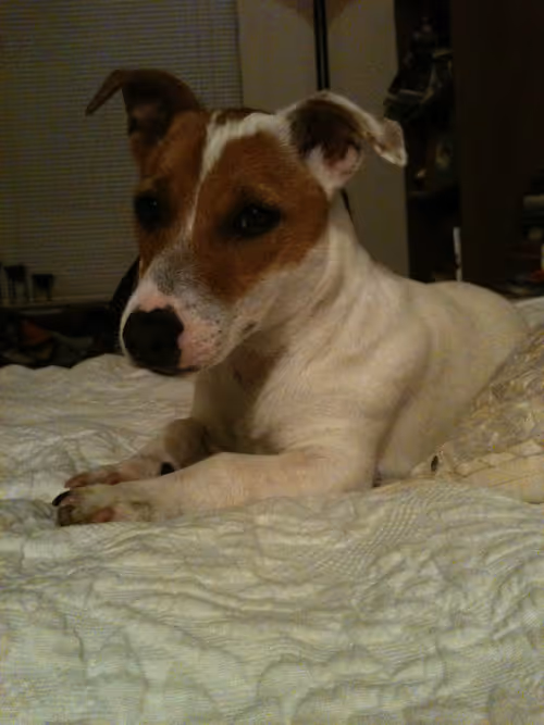 Item #5985210497355107417265215381210579199842884272282595265964883377025586298881 Media