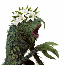 69263692734302161044241320265110333107332673808638480991274558725088474038273