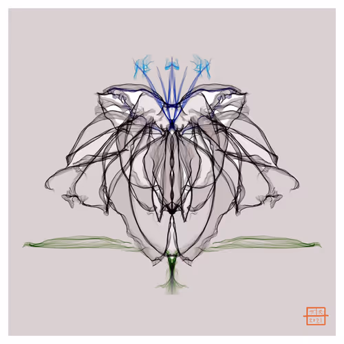 Item #60826036116840120591505749081523336013650594141619463205417416388921744424961 Media