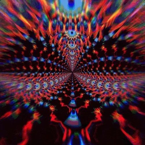 Collecta-Cam Collection - old V2