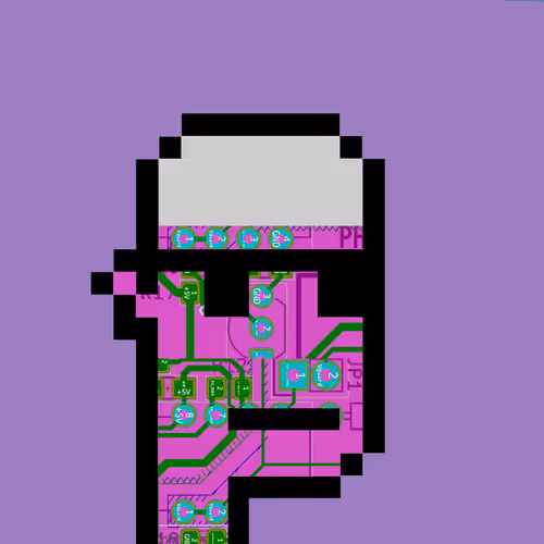 Punkcircuit