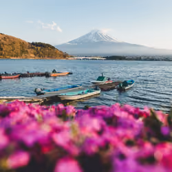 Dreams of Mt Fuji #15