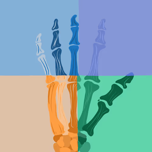 yesyurun_yehuda Collection