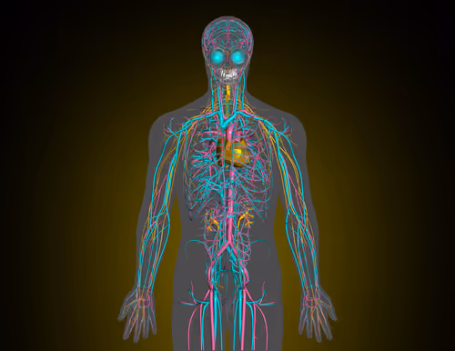 Item #85616260800140778956581373911837214761326127764924071871020287162838186721281 Media