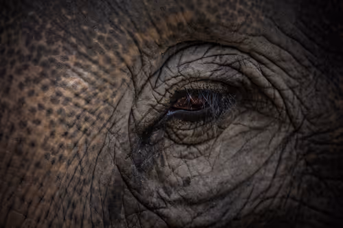 Item #9772442136139424004543608475849407214698053246927801452762294489923041886213 Media