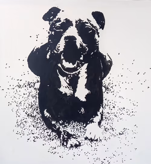 Item #50817705135989241687002875293874285283269328685176696233465356374511345205249 Media