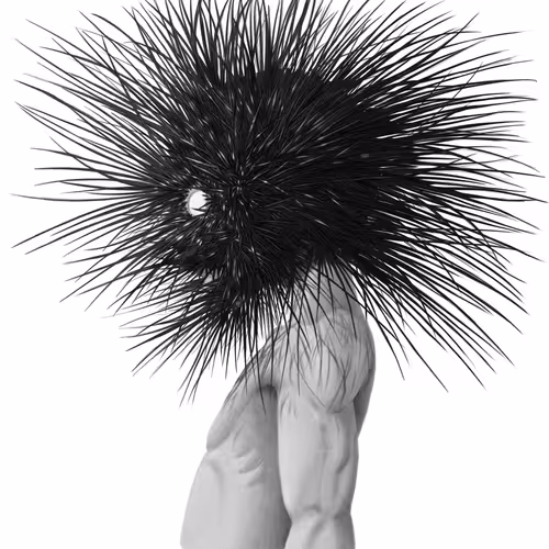 31716660721893260186561875880927924053797991802553988320420577380348085665793