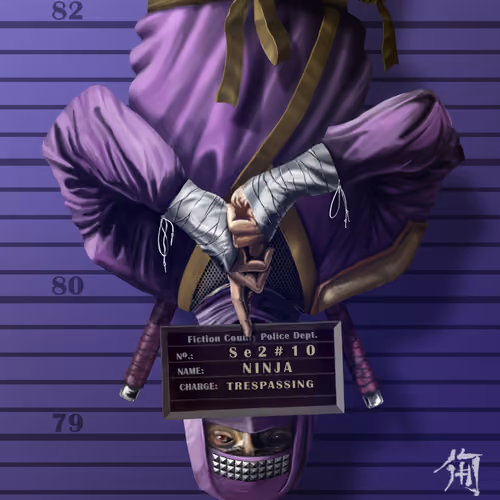 Se2#10 Ninja