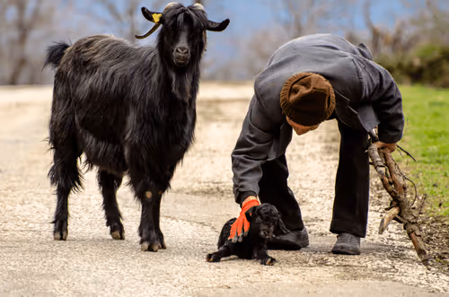 Item #103012301657456598627464593711191492996341926608798375780323323130711153573889 Media