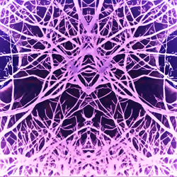 Midnight Deer - Folk Lore