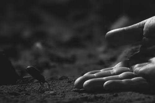 Item #96722404509651341404320943971918278257484839250108932769859130408345693847553 Media