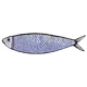 11272561720726952846452766313476548135457403296870080758975599172253957226497