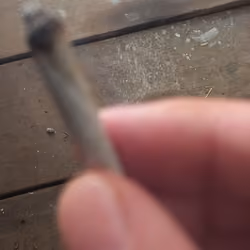 last time smoke