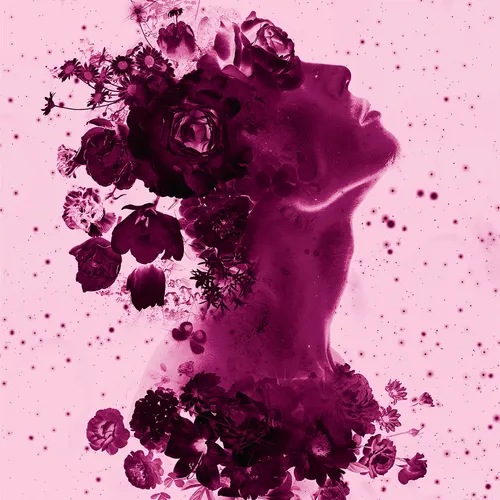 114326855260130091769496603532190643749551084567769454944154782511276589318145