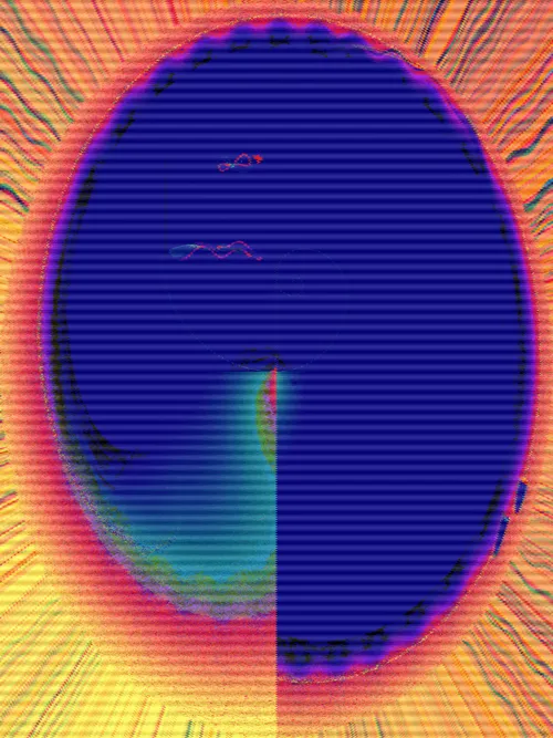 Item #98307814693560649557037634651649107179707965816509733753751622976033427292161 Media