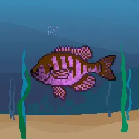 78964944229926021655968168462037545876501657311134209832205588718794250911745