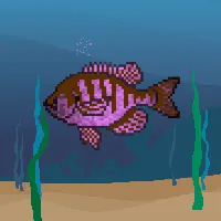 Item #78964944229926021655968168462037545876501657311134209832205588718794250911745 Media