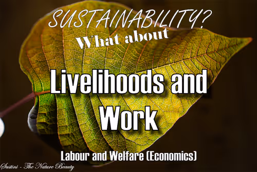 Item #93613396688638017464317025240290185264434684879039933742438228999270201032705 Media