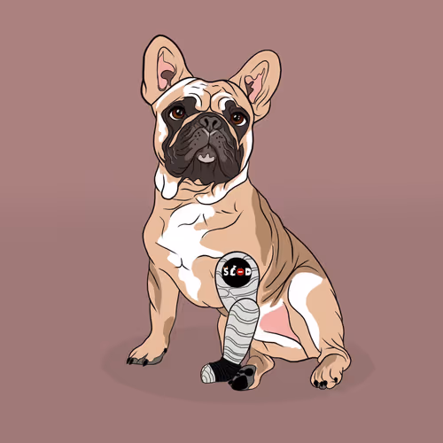 Item #18929025953091685879740265421444029621973902778044225700407145437416331935745 Media