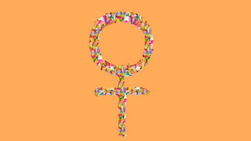 Item #102747860771236398929577105643336122107089824246247135074030275376341271445505 Media