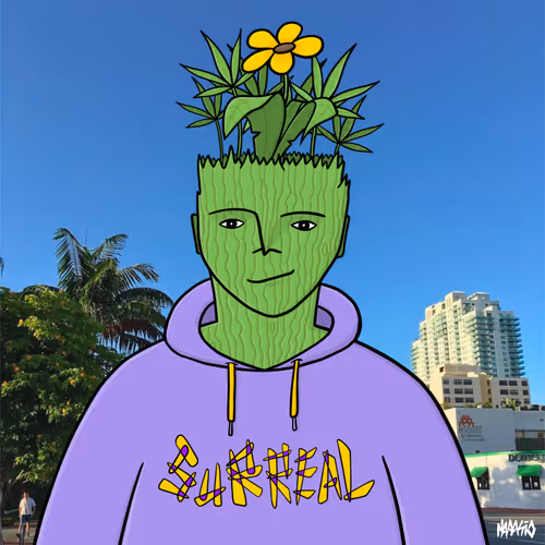 Item #53189879141719928973609415651981425264894601479055789423480064731636060651533 Media