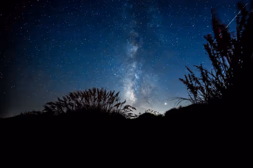 Item #23645396824332480364317707896478832373731051676031954116051850703020002115585 Media