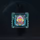 XOiD Mint Passes