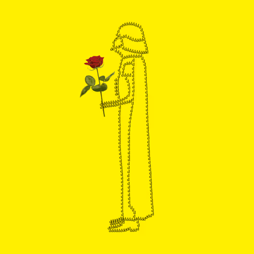 d-rose #00279