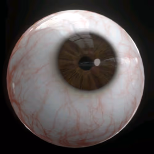 Item #12510215359888036692443693821200507961939031093531727621071302262922730799105 Media