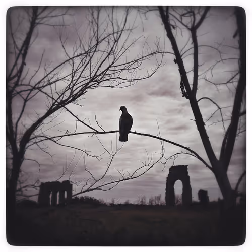 Item #115063816418514951154258762127288984100481774672699272562835740840651596496897 Media