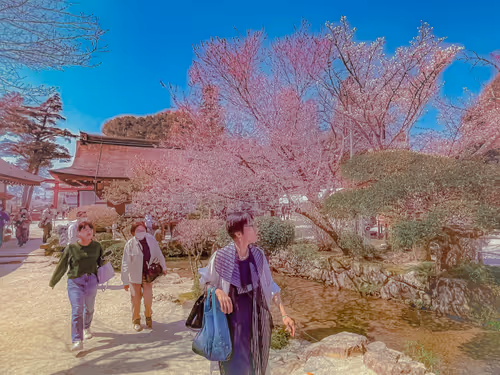 Item #26309083901545567454709889211670292098627789932924015051489478943782262013957 Media