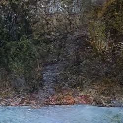 Mononoke Forest
