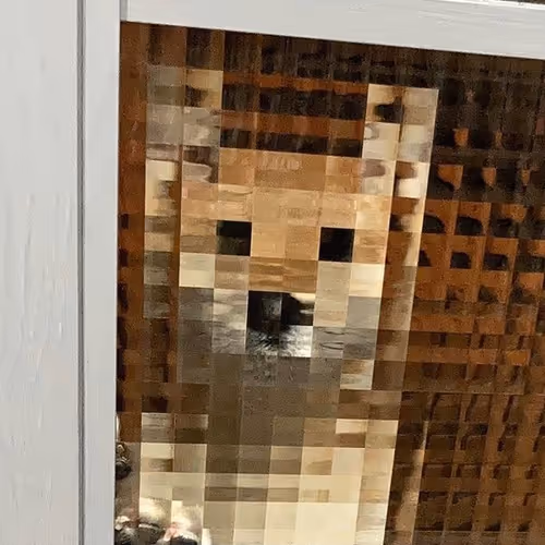 GoOd BoY shiba 