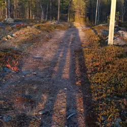 Long shadow