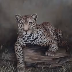 4288309145407295523431116215122397111529594114986911850026632788156690202674