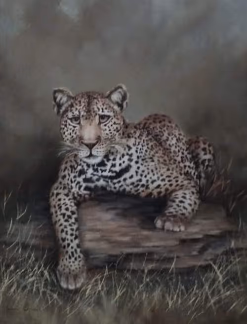 Item #4288309145407295523431116215122397111529594114986911850026632788156690202674 Media