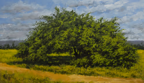 Item #110029838572198662821673087368431480016956825603177729317162674686451519586305 Media