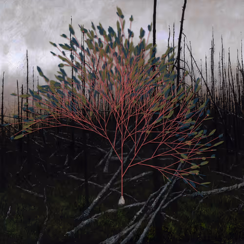 Item #57009555572129949968037836061383916208458381598981093971084421899231579602945 Media