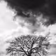Editions By Koech