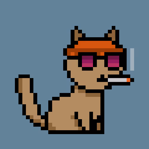 PunkCat #4753