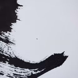 89379789096159316254634402396532420743360395392417650095065919025987431956490