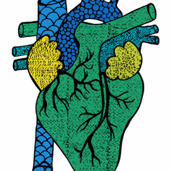 28824502245252267217549902857601847351510039266873569823091148075466993172481