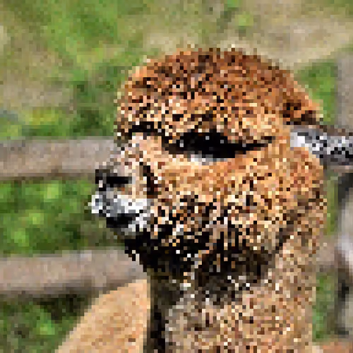Alpaca Charlie #01