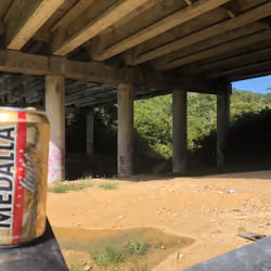 MEDALLA BRIDGE