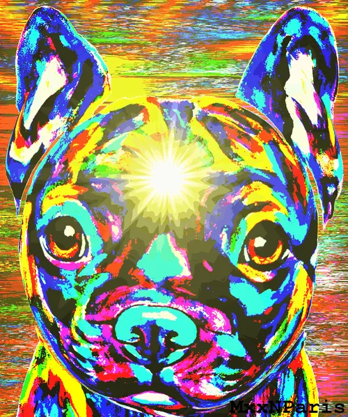 Item #82013525006953393872410545798719538741225788364663216848453751335876235886692 Media