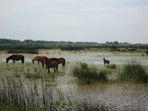 Item #28126374374139544481296102773722789712983244286733274750119021556358679887873 Media