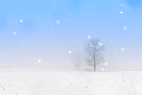 Item #38451764483071137049617104277060770361693514459204374406310069345156383899649 Media