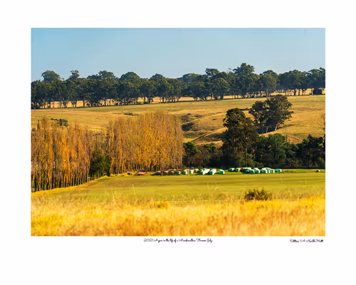 Item #24600310660482288606297797528155087939323639147399647196853483699614399856641 Media