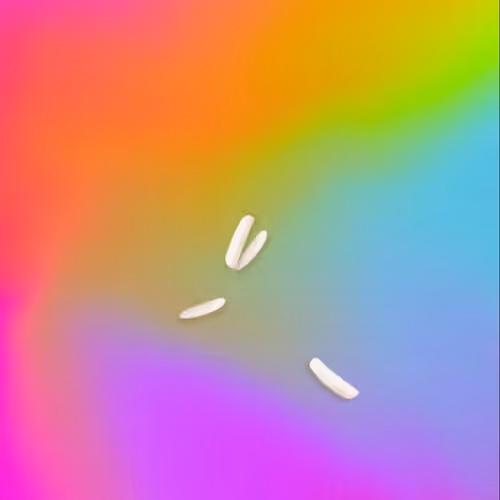Ricegrains Va669VSJ6A